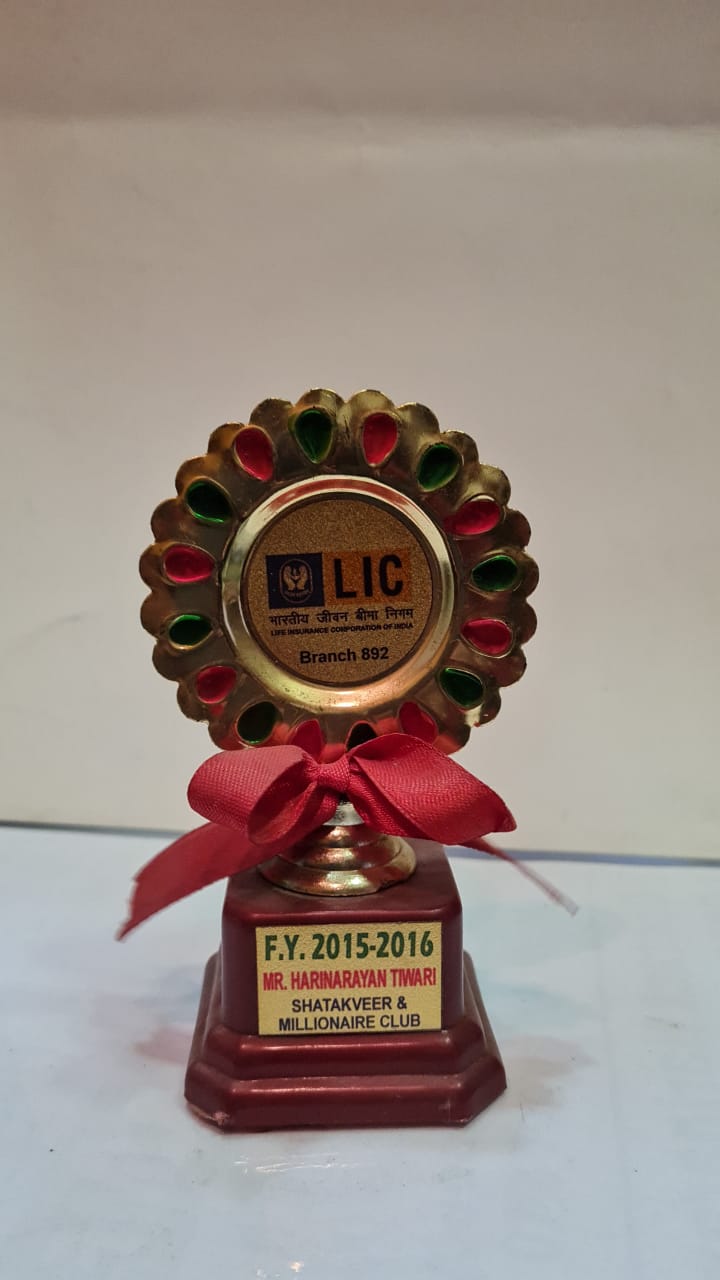 F.Y. 2015 - 2016